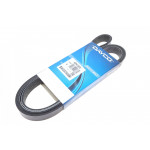 Ремінь генератора Ford Transit 2.2 TDCi 12- 