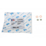 Прокладка трубки подачі оливи до турбіни Renault Trafic 1.9DCI (к-кт) 