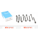 Болти головки (к-кт 10шт.) VW Caddy 2.0 EcoFuel 