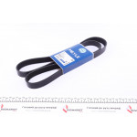 Ремінь генератора BMW 5 (E39)/7 (E38) 3.5i/4.0i 93-04 (7PK1629) 