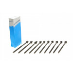 Болти головки (к-кт 10шт.) Opel Insignia 2.0 CDTI 08- (L=228mm) 