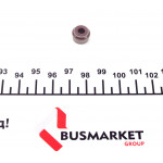 Сальник клапана (впуск/випуск) Renault Kangoo 1.2 16V 01-, D4F/D4D 