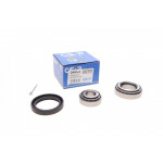 Підшипник маточини (передньої) Ford Transit 92- (к-кт) 