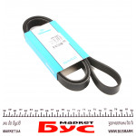 Ремінь генератора Renault Megane I/Ford Transit 2.0 94-00 