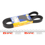 Ремінь генератора MB Sprinter CDI (-AC) (з обводним роликом) (9930) 