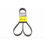 Ремінь генератора Opel Astra J/Corsa D 1.7CDTI 09-15/Ford Focus 1.8TDCi 98-04 