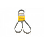 Ремінь генератора VW T4 2.4D/2.5TDI 90-03/Ford Fiesta 1.25-1.6 95-02 