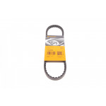 Ремінь генератора VW T4 1.9D/TDI (PS) 