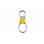 Ремінь генератора VW Caddy/Golf/Passat 1.9-2.0 TDI 03-10/Peugeot Boxer 2.8HDi 00- 