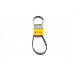 Ремінь генератора Ford Fiesta/Focus 