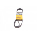 Ремінь генератора Renault Master/Trafic/Opel Movano/Vivaro 2.5CDTI/dCi 06- 