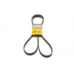 Ремінь генератора MB Vito OM601/VW LT 2.5TDI (+AC) 