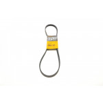 Ремінь генератора Renault Kangoo/Megane/Laguna 1.4/1.5 dCi/1.6 03-/Audi A6 4.2FSI 06-11 