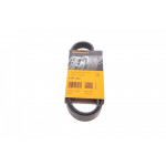 Ремінь генератора Opel Movano/Renault Master 2.8DTI 98-01/VW Crafter 2.0TDI 11-16 