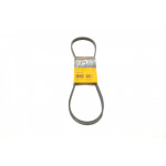 Ремінь генератора BMW 3 (E46)/5 (G30/F90)/7 (G11/G12)/X3 (G01/F97)/X5 (G05)/Kia Rio 00-05 (4PK970) 