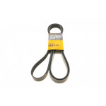 Ремінь генератора Ford Transit 06- 