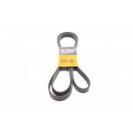 Ремінь генератора Ford Transit 2.4 TDCI 00-06 