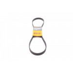 Ремінь генератора Fiat Ducato/Citroen Jumper 1.9D/TD 94-/Renault Trafic 2.5dCI 03- 