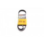 Ремінь генератора VW T4/Caddy 1.9D/TD 90-03/Toyota Corolla/Auris 1.4D 06-14/Kia Rio 1.25 17- 