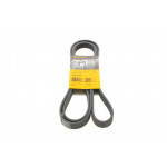 Ремінь генератора VW LT 2.5TDI 96-06/Jeep Cherokee/Wrangler 2.4 01-08/BMW 5 (F10/F07/F11) 3.0D 10-17 