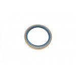 Сальник маточини (передньої) Fiat Ducato (63x80x12) 