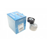 Натяжник ременя генератора Iveco/Renault Mascott 2.8DTI 