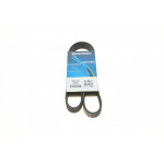 Ремінь генератора Citroen Jumper 1.9TD 94-02 (ALT,PS) 