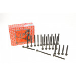 Болти головки (к-кт 22шт.) MB OM602 