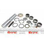 Шкворень DB 609/Vario (27x154mm) (на підшипниках) 