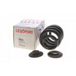 Пружина (задня) VW T5/T6/Multivan V/VI 1.9-2.0TDI/2.5TDI/3.2 V6 03- (з пост.діам.) (HD.для відд.мод) 