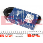 Ремінь генератора MB Vario OM904 (8PK1420) 