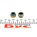 Сальник клапана (впуск/випуск) Peugeot Partner/Citroen Jumper/Fiat Doblo 1.9D 96- (8x10.8/14.2x10) 