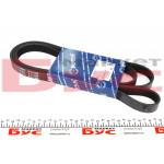 Ремінь генератора MB Vito OM601/VW LT 2.5TDI (+AC) (6PK2100) 