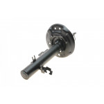 Амортизатор (передній) Nissan Qashqai II 13-/ Renault Kadjar 15- (R) 