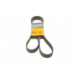 Ремінь генератора BMW X5 (E53) 01-03 (M62) 