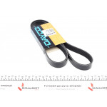 Ремінь генератора Ford Granada/Fiat Bravo 1.9D/2.0 07- (HD) 