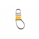 Ремінь генератора BMW 3 (E46)/X3 (E83) 01-07/Fiat Stilo 1.6 16V 01-08 