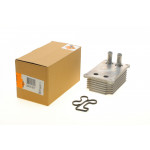 Радіатор масляний Ford Transit 2.0/2.4DI/2.0TDCi 00-06 (теплообмінник) 