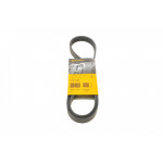 Ремінь генератора Peugeot Partner 1.6 VTi 08- (-AC)/Renault Kangoo/Scenic 1.5dCi/1.6 13- (+AC) 