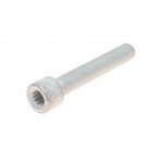 Болт ШРКШ (внутрішнього) Audi/VW (M8x46/57) 