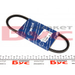 Ремінь генератора Citroen/Renault (10x665) 