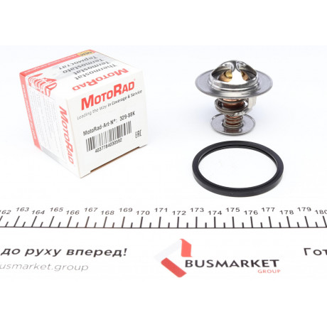 Термостат Ford Escort/Hyundai Accent 1.3/1.5i/Terracan 2.9CRDi 97-