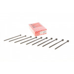 Болти головки (к-кт 10шт.) VW Caddy III 1.2 TSI 10-15 