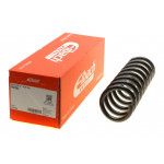 Пружина (передня) MB E-class (W210/S210) 2.4/3.2/2.2CDI (OM611/M112/M104) 96-03 (Classic/Elegance) 