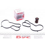 Термостат VW Caddy/Golf VII 1.2TSI/1.4TSI 12- (в к-те з прокладками) 