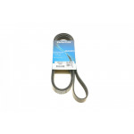 Ремінь генератора Ford Focus 1.4/1.6 16V 98-04 