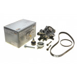 Комплект ГРМ + помпа Seat Ibiza IV/V/Skoda Fabia III/VW Polo 1.0TSI 14- 