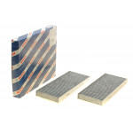 Фільтр салону Renault Latitude 2.0/3.0dCi 10-(вугільний) (к-кт 2 шт.) 