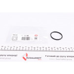 Прокладка системи охолодження ущільнююча Renault Trafic 1.6dCi 14- 