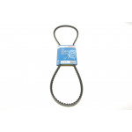 Ремінь генератора Man Lions/Renault Trucks Manager/Midlum/Premium 96- (10x1250) 